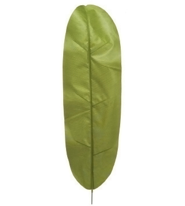 Large Light Green Banana Leaf 34 Inches